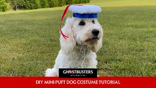 GHOSTBUSTERS: AFTERLIFE – Mini-Puft Halloween Dog Costume