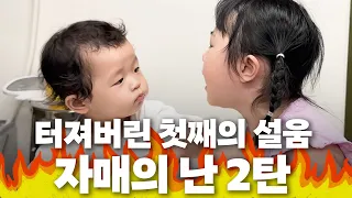 결국 터져버린 이지혜 딸 태리의 분노(자매의 난,태리,엘리)