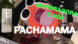 Mandragora x 4i20 - Pachamama 170BPM (Official Music Video)