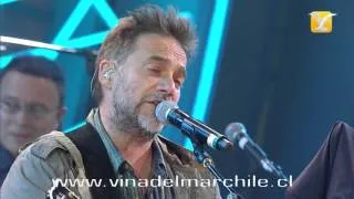 Vicentico, Un Diamante, Festival de Viña 2015