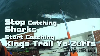 No Pogies, No Sharks (Trolling Yo-Zuri for Kings)