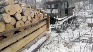 Вытаскиваем из болота дрова на тракторе Т 74 1975 года выпуска