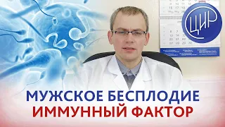 Мужское бесплодие. Иммунный фактор мужского бесплодия. Лечение мужского бесплодия. Живулько А.Р.