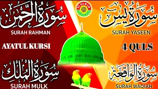 Ep 232 Surah  Yaseen 💕 Surah Rahman 💕 Surah Waqiah 💕 Surah Mulk 💕 Ayatul kursi @IQRAALQURANKARIM