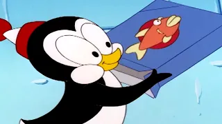 Chilly Willy Full Episodes 🐧Freeze Dried Chilly - Chilly willy the penguin 🐧Videos for Kids