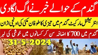 Good news/gandam rate today/wheat price today in punjab/2024 گندم کا ریٹ/ Makki ka rate today punjab