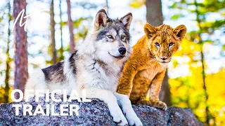 The Wolf and The Lion — Official Trailer (2021)