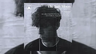 The Soft Moon - The Pain