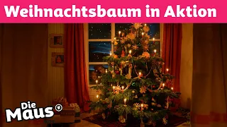 Was macht denn der Weihnachtsbaum da? | DieMaus | WDR