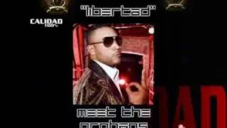 DON OMAR - LIBERTAD ORIGINAL LYRIC 2010 (Meet The Orphans)