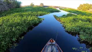 3 days of California Delta Kayak fishing (Practice for Big Tournament)
