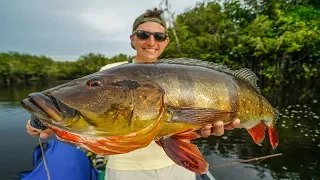 Catching MASSIVE FISH in the Remote Jungle of BRAZIL!!!!