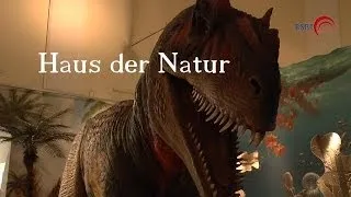 Haus der Natur-Museum für Natur und Technik-Salzburg-Full HD 1080p