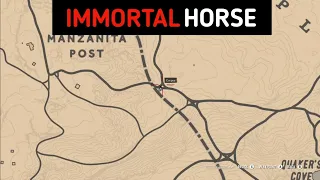 You'll Find This Horse Only Once In The Entire Game - RDR2