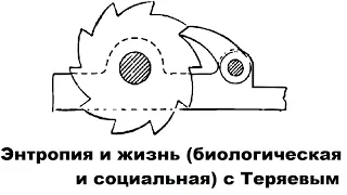 Энтропия и жизнь (биологическая и социальная) с Теряевым