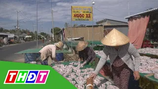 Làng khô Phú Thọ (Tam Nông, Đồng Tháp) tất bật vào vụ | THDT