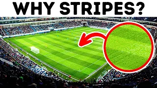 Why Football Fields Have Stripes + 15 Interesting Footbal Facts