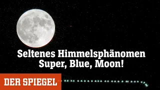 Seltenes Himmelsphänomen: Super, Blue, Moon! | DER SPIEGEL