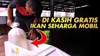 #75- UNBOXING IKAN SEHARGA MOBIL - MEGATANK 100TON