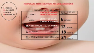 TEMPORARY TEETH ERUPTION AGE MNEMONIC #FSM