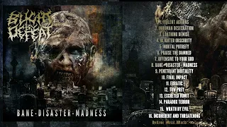 Blight By Defeat - Bane Disaster Madness [Full Album, 2024]