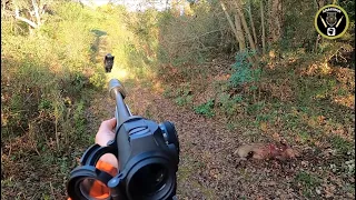 ☆chasse en battue - 2 sangliers au même poste + mâle 60kg 2022/2023☆