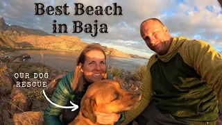 Best Beach in Baja Mexico, Free Camping Epic Sunrises and We Rescue a Dog from the Beach!
