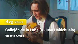 Vicente Amigo - "Callejón de la Luna (A Juan Habichuela)" (1991) HD