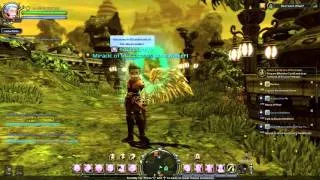 Dragon Nest Europe - My Lv 80 Abyss Walker Skill Build