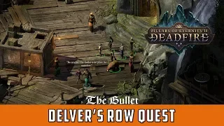 Delver's Row Quest (Pillars of eternity 2 Deadfire)