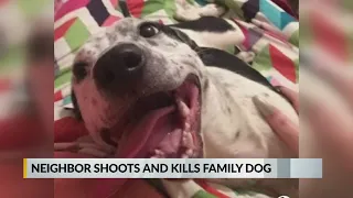 Man charged with animal cruelty accused of shooting and killing neighbor's dog