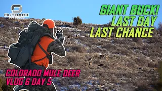 Buck in Range Colorado Unit 44 LAST DAY! Vlog 6
