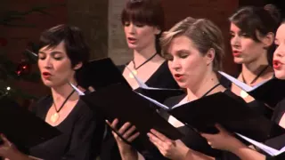 Shchedryk (Ščedrik) _  Chamber Choir Ivan Filipovic Zagreb (arr. Leontovich)