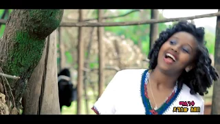 Ethiopia- Mistre Manalimosh Dibo - Dimam Sew - NEW! Ethiopian Music Video