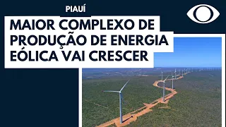 Complexo de energia eólica no Piauí vai crescer