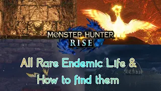 All Rare Endemic Life & How to find them | Monster Hunter Rise Guide