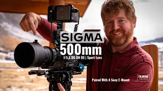 **NEW* | Sigma 500mm DG DN OS | A Beast for Wildlife Photography & Film