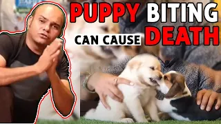 Puppy Biting n Fighting Can Cause DEATH - Stop & Control | Aggression in Dog Breeds | Badal Bhandari