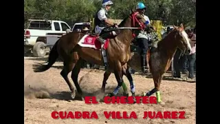 "EL CHESTER" CUADRA VILLA JUAREZ