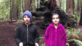 The epic redwoods (The Science Kids Biology #7)