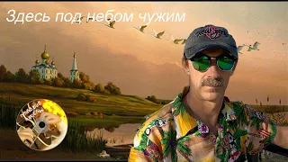 Здесь под небом чужим - Сергей Орлов