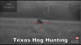 ATN Night Vision Hog Hunting 6/2017