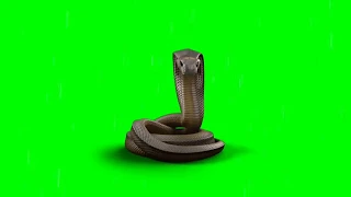 No copyright Snake Green screen 2020. SHIMUL ganG