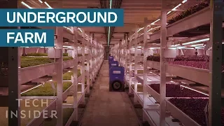 Underground Farm Produces 2 Tons Of Food A Month