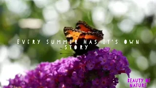 Every Summer Has It's Own Story | Beauty of Nature |Peaceful Soothing Relaxing Music!!!