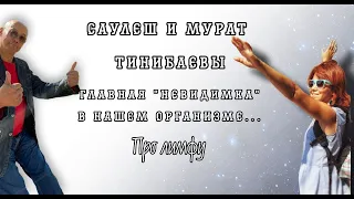 "Лимфа. Жидкость - невидимка" Боль в голени и отеки ног. Практика Саулеш и Мурат Тинибаевы