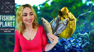 Первый раз в Fishing planet. Сравниваю с русской рыбалкой 4