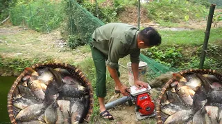 Gardening, weeding cassava garden,banana garden, exploiting large fish ponds to prepare for sale 173