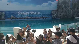 Indian Song played before Dolphin show at Safari World Bangkok,Thailand 1st Day of Year 2019.