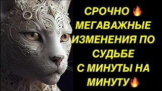 🔥СРОЧНО❗️МЕГАВАЖНЫЕ ИЗМЕНЕНИЯ ПО СУДЬБЕ С МИНУТЫ НА МИНУТУ❗️❗️❗️🔥